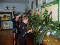 �����������